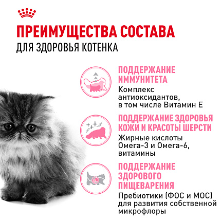 Royal Canin Persian Kitten Корм сухой сбалансированный для персидских котят (до 12 месяцев), 10 кг